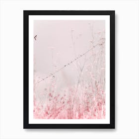 Birds on a Wire - Pink Art Print