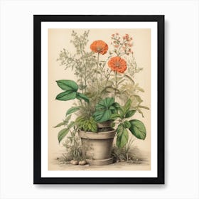 Orange Flowers In A Pot Art Print