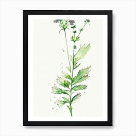 Spikenard Herb Minimalist Watercolour 1 Art Print