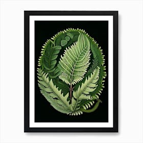 Shield Fern 1 Vintage Botanical Poster Art Print