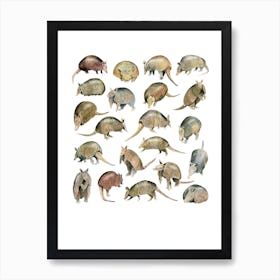 Armadillos Art Print