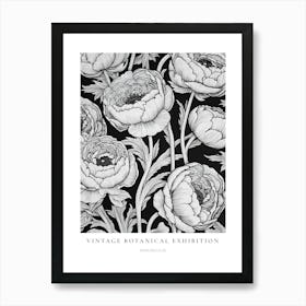 Ranunculus B&W Vintage Botanical Poster Art Print