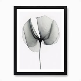 X Ray Flower 3 Art Print