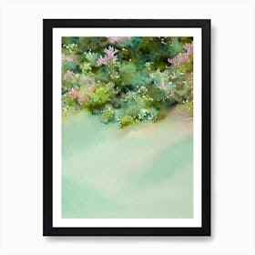 Acropora Lokani Storybook Watercolour Art Print