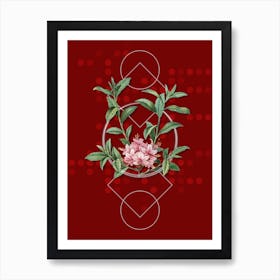 Vintage Azalea Botanical with Geometric Line Motif and Dot Pattern n.0208 Art Print