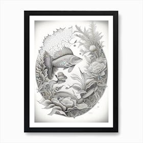 Kin Ki Utsuri Koi Fish Haeckel Style Illustastration Art Print