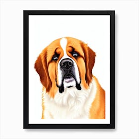 St Bernard Illustration Dog Art Print