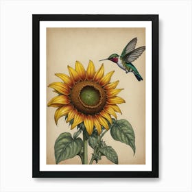 Hummingbird And Sunflower Art Print