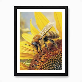 Halictidae Bee Storybook Illustration 8 Art Print