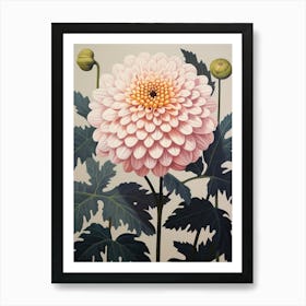 Flower Illustration Dahlia 1 Art Print