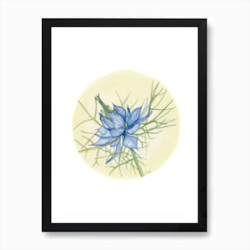 Love in a Mist Art Print