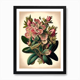 Rhododendron Wildflower Vintage Botanical 1 Art Print