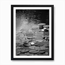 Floating On The Water Art Print