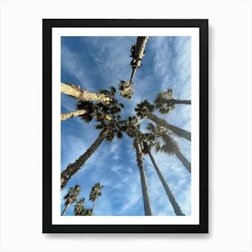 Palm Trees In The Sky Art Print