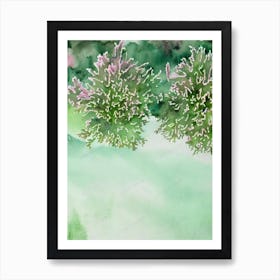 Acropora Pulchra Iiii Storybook Watercolour Art Print