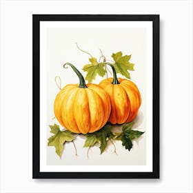 Jarrahdale Pumpkin Watercolour Illustration 2 Art Print