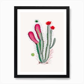 Austrocylindropuntia Subulata Minimal Line Drawing Art Print