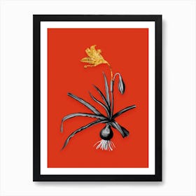 Vintage Amaryllis Broussonetii Black and White Gold Leaf Floral Art on Tomato Red n.0115 Art Print