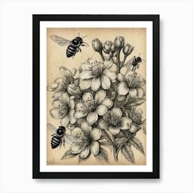 Bees And Blossoms Art Print