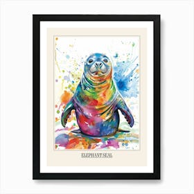 Elephant Seal Colourful Watercolour 3 Poster Art Print