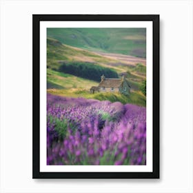 Lavender Fields In Scotland Art Print