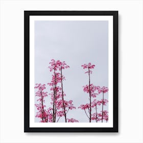 Pink Trees Against A Cloudy Sky Art Print