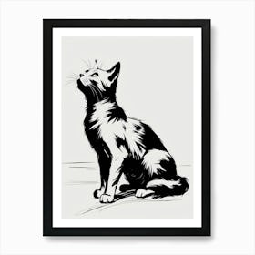 Cat Drawing 2 Art Print