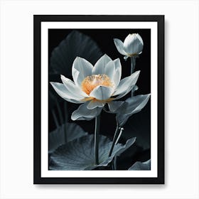 Lotus Flower 10 Art Print