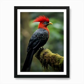 Feathers of the Andes: Jungle Bird Wall Art Art Print