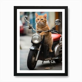 Cat On A Motorcycle Art Print