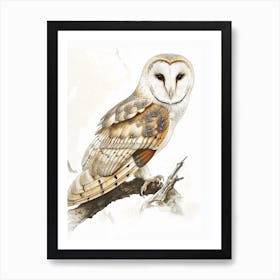 Barn Owl Vintage Illustration 4 Art Print