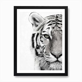 Tiger Art Print