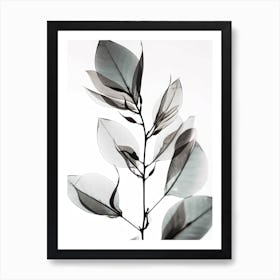 Leaf On A Branch Black And White Flower Silhouette Art Print