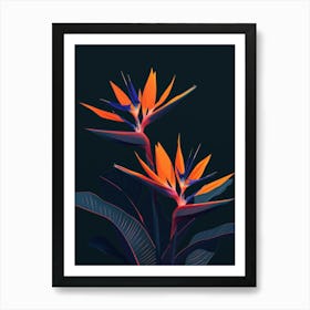 Bird Of Paradise 14 Art Print