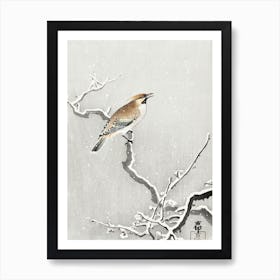 Bohemian Bird On Snowy Branch (1900 1930), Ohara Koson Art Print