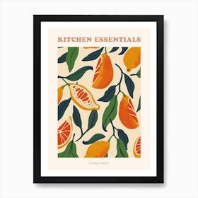 Citrus Fruit Abstract Illustration Poster 4 Art Print