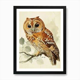 Tawny Owl Vintage Illustration 1 Art Print