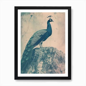 Vintage Turquoise Peacock On A Rock Photography Style 3 Art Print