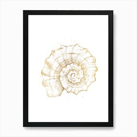 Colored seashells. Seashells. Summer. 7 Art Print