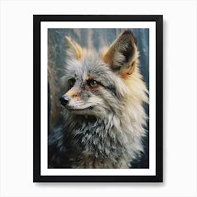 Bengal Fox Photorealistic 1 Art Print