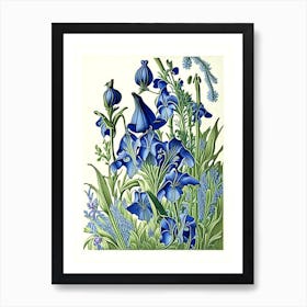 Bluebell 2 Floral Botanical Vintage Poster Flower Art Print