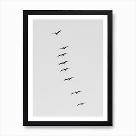 Black And White Pelicans Soaring Above Art Print