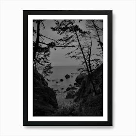 Black And White Art Print