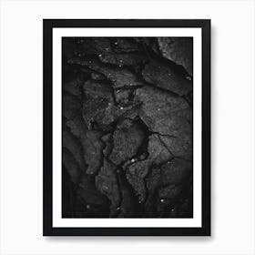 Black And White Photography Poster