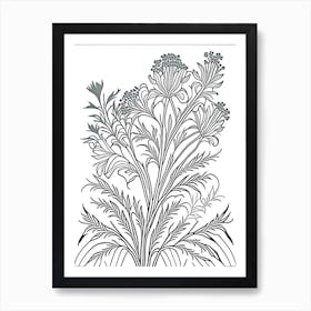 Valerian Herb William Morris Inspired Line Drawing 2 Art Print