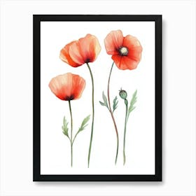 Watercolor Poppies 1 Art Print