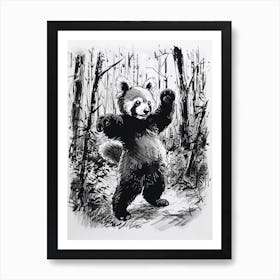 Red Panda Dancing In The Woods Ink Illustration 1 Art Print