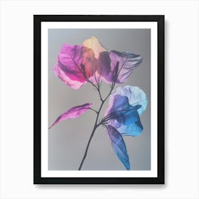 Iridescent Flower Bougainvillea 1 Poster