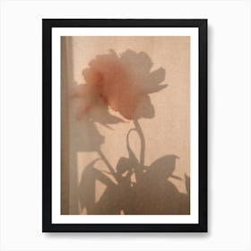 Abstract Flower Shadow 2 Art Print