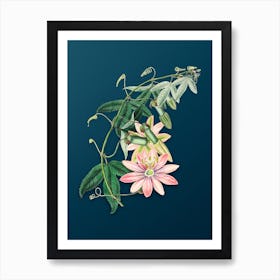 Vintage Mrs. Marryat's Tacsonia Flower Botanical Art on Teal Blue Art Print